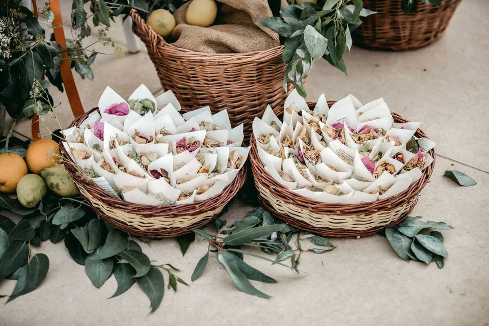 Wedding Photo
