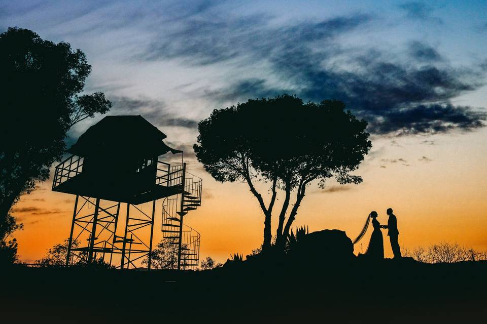 Wedding Photo