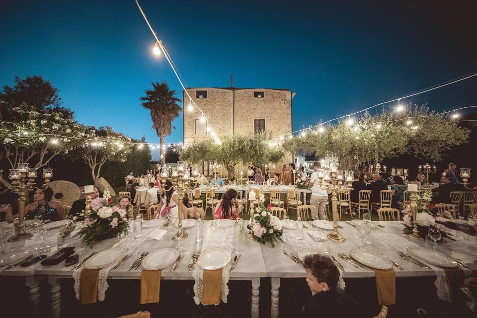 Wedding Photo