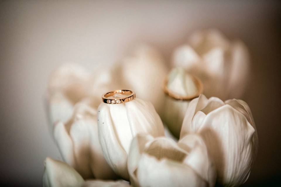 Wedding Photo