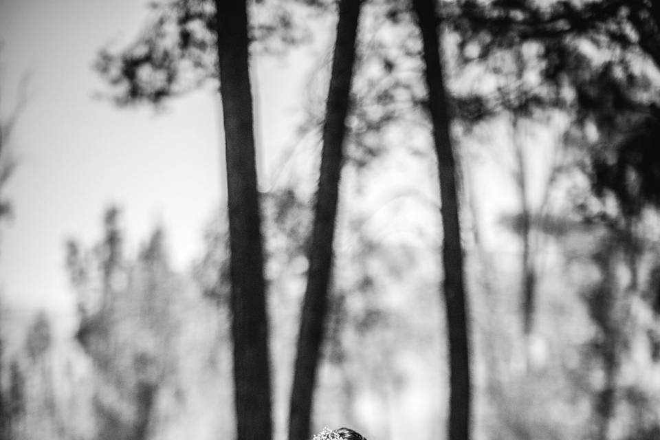 Wedding Photo