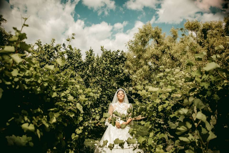 Wedding Photo