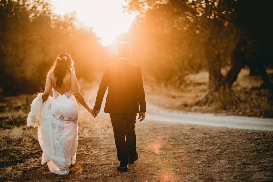 Wedding Photo