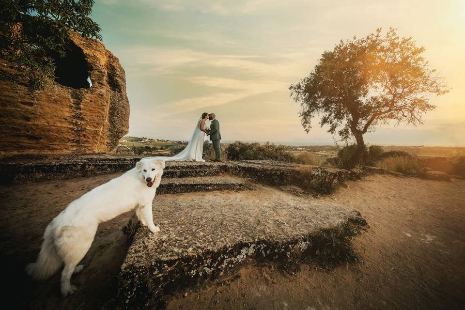 Gli sposi col cane