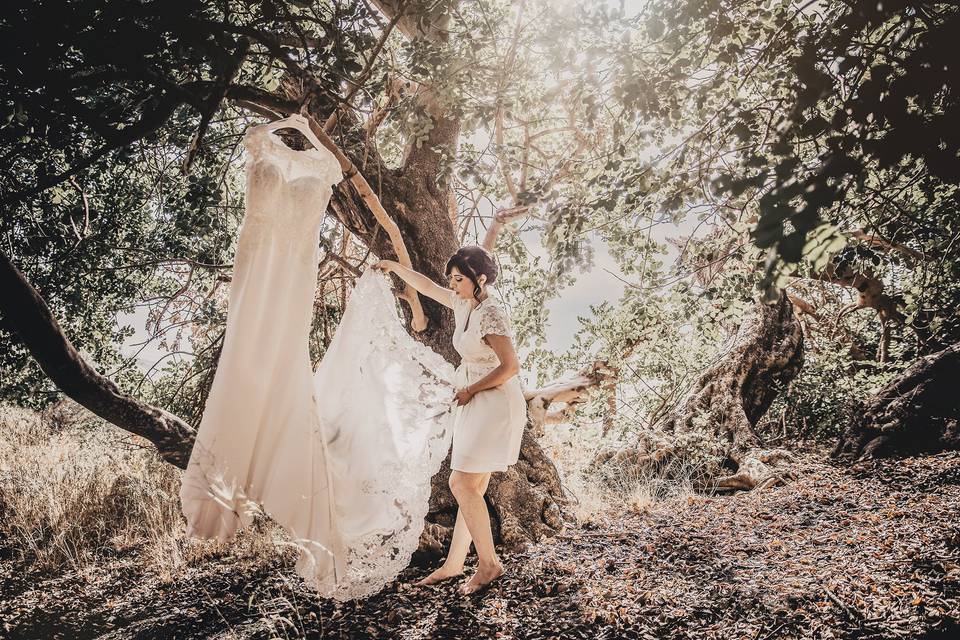 Il vestito della sposa