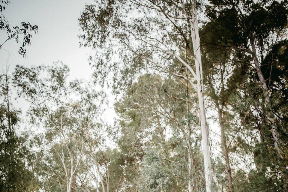 Wedding Photo