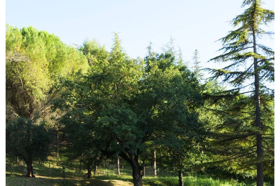Angolo per cerimonia