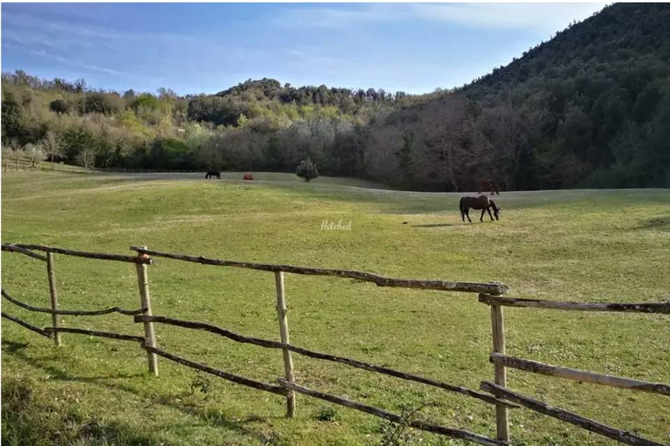 Grandi spazi per i nostri cava