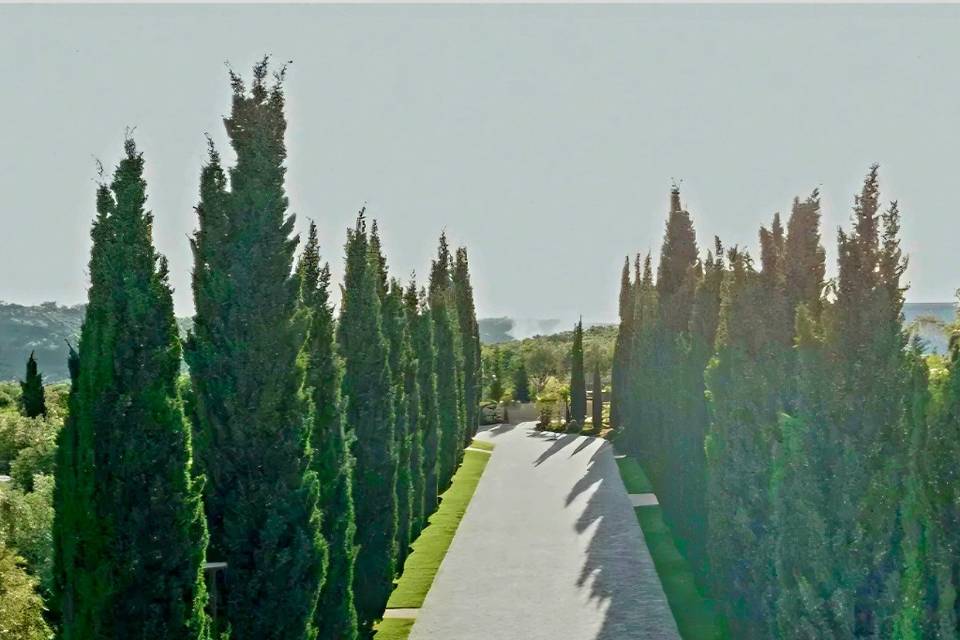 viale di ingresso