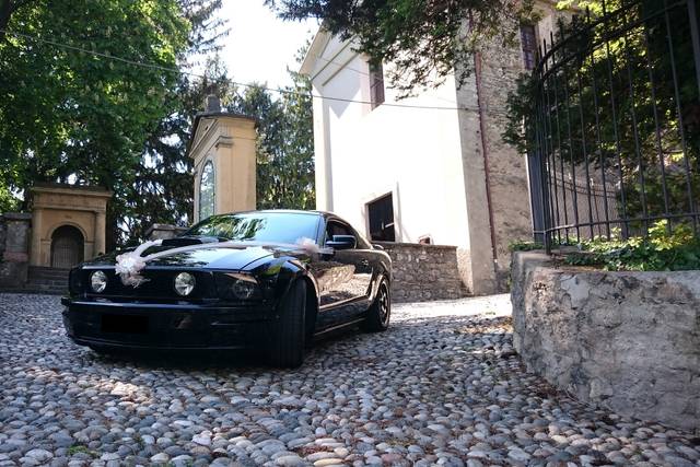 Noleggio Mustang GT V8