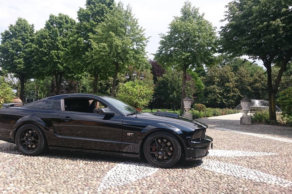 Noleggio Mustang GT V8