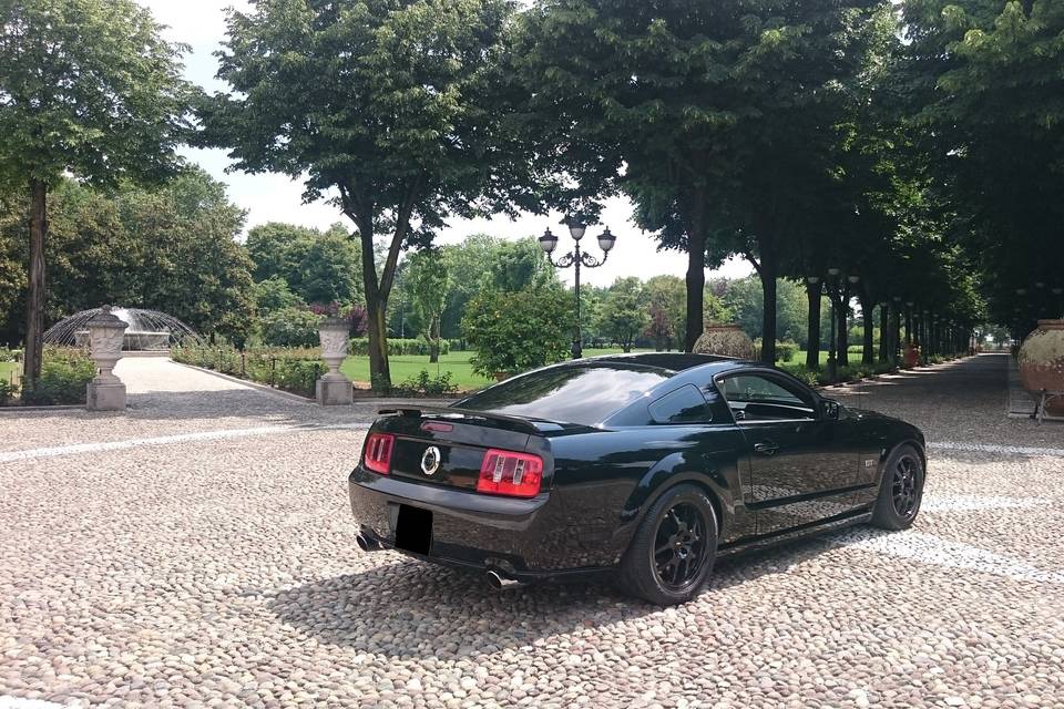 Noleggio Mustang GT V8