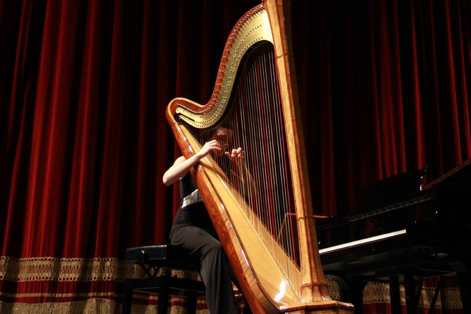 Solo Harp