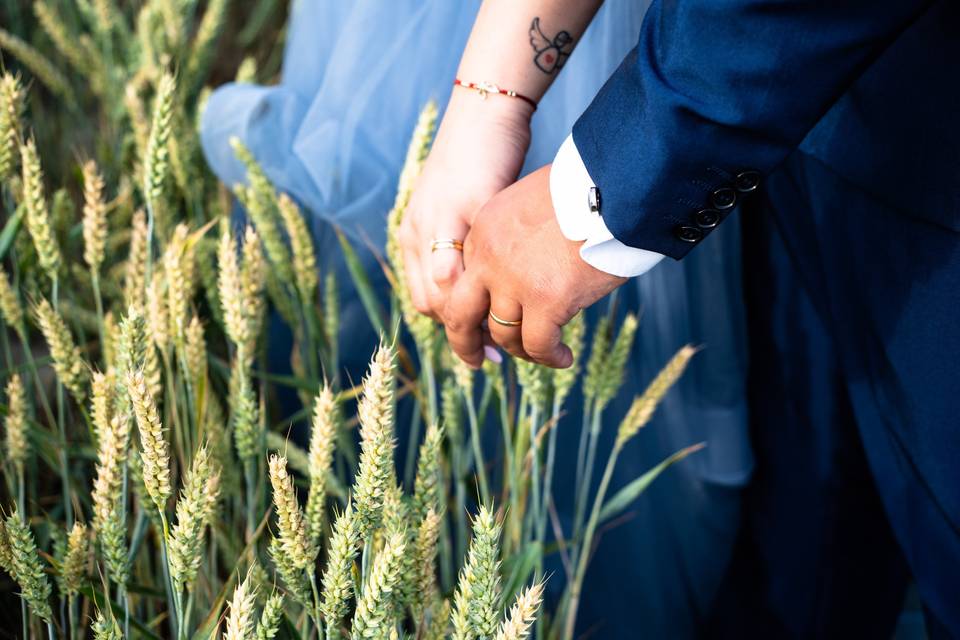 Foto campo di grano