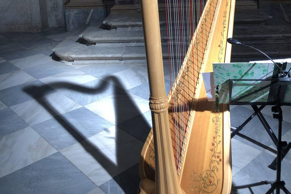 Solo Harp