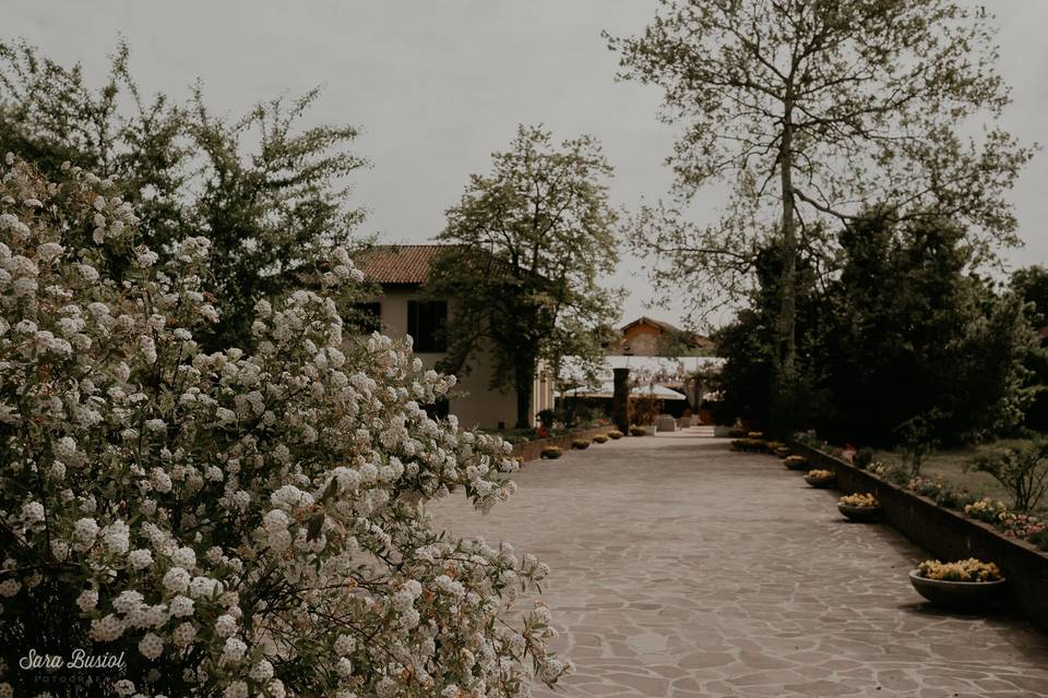 Ingresso