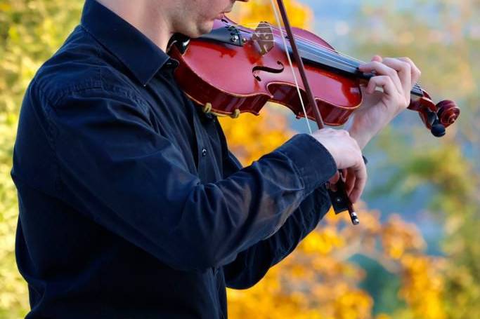 Violinista