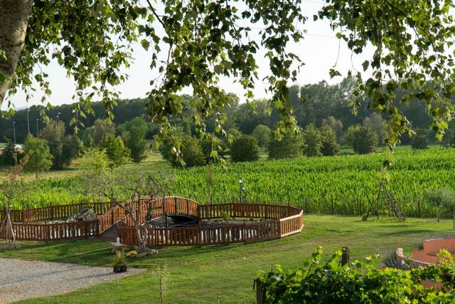Podere leoni