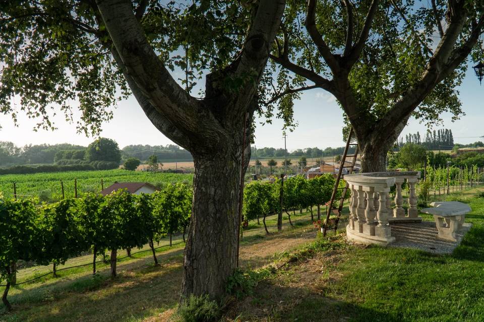 Podere leoni