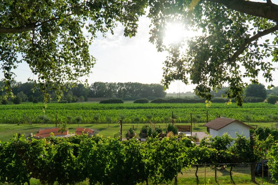 Podere Leoni