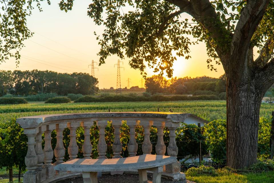 Podere leoni