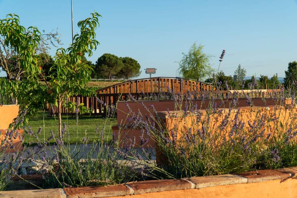 Podere leoni