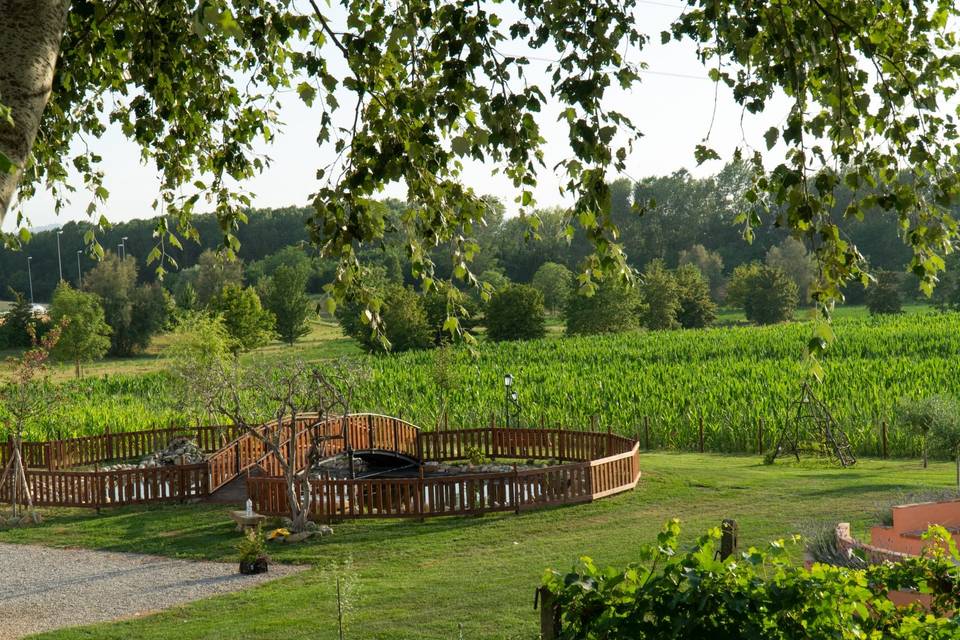Podere leoni