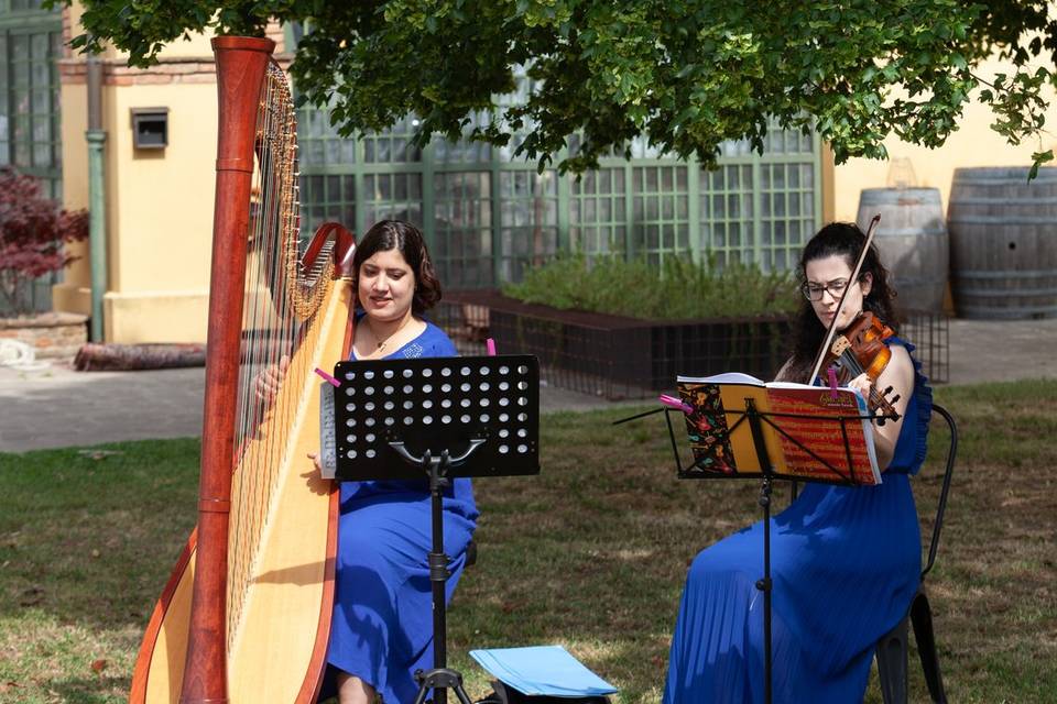 Arpa e violino aperitivo