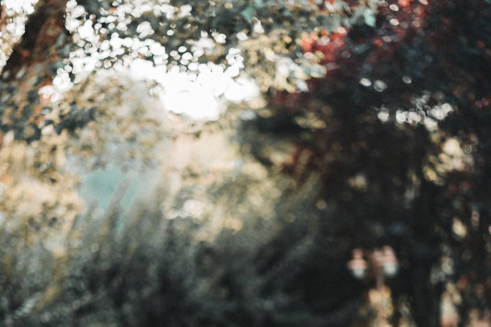 Dylan Bertolini Foto