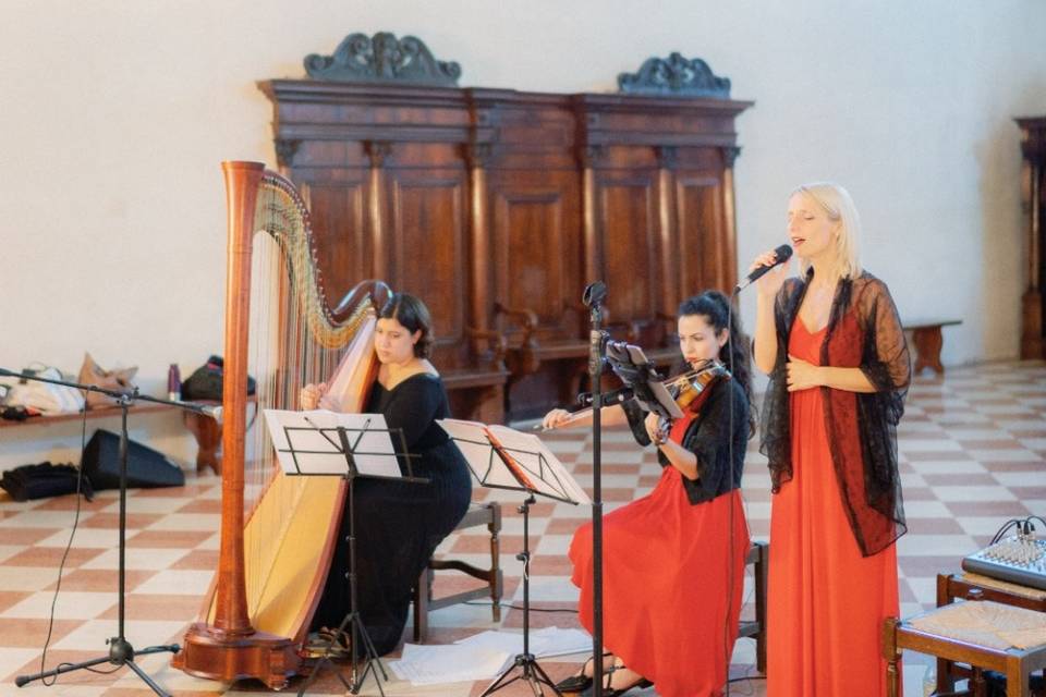 Arpa, violino e canto