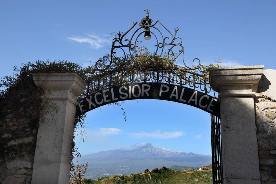 Uno scorcio del giardino