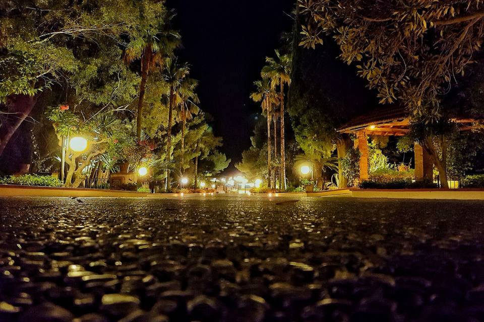 Il viale del giardino