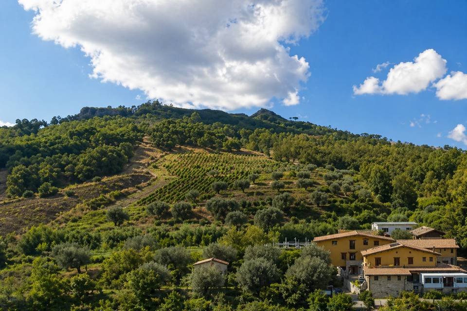 Panoramica