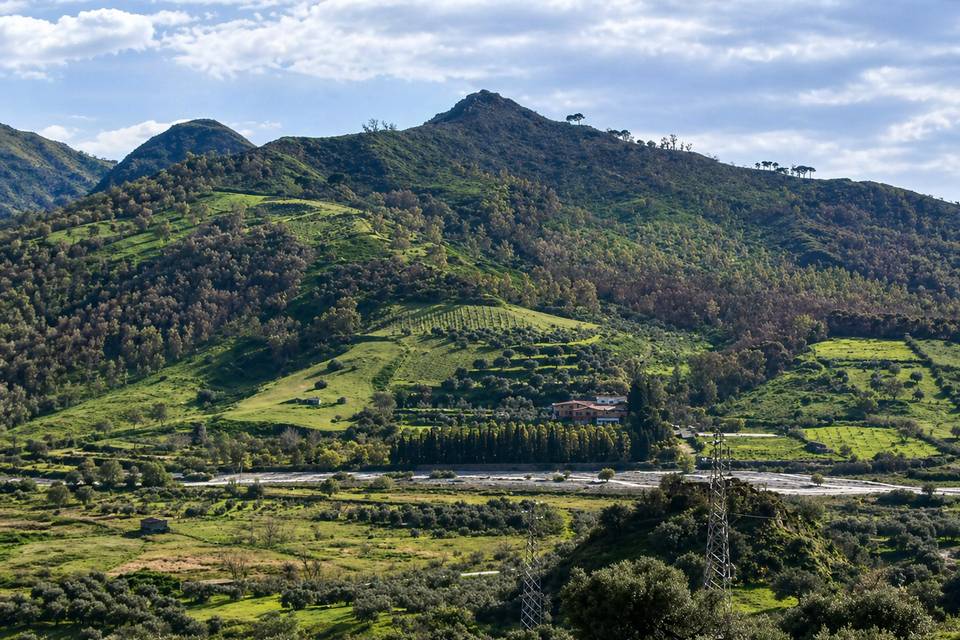Panoramica