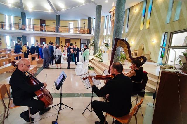 Arpa,Violino,Violoncello
