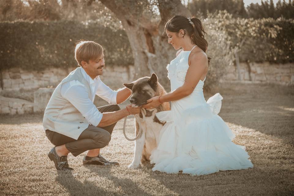 Wedding