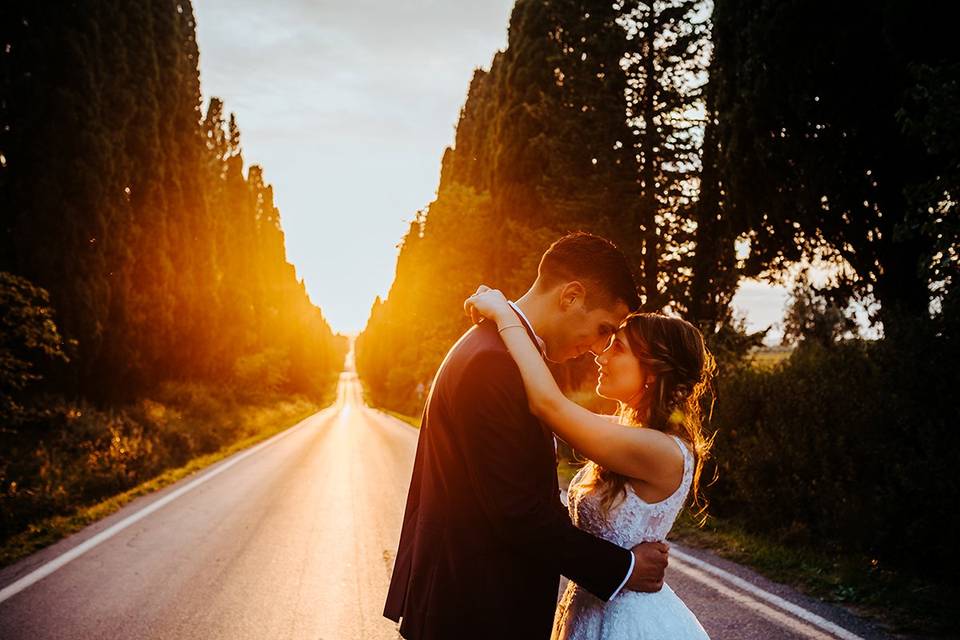 Amore sul viale di Bolgheri