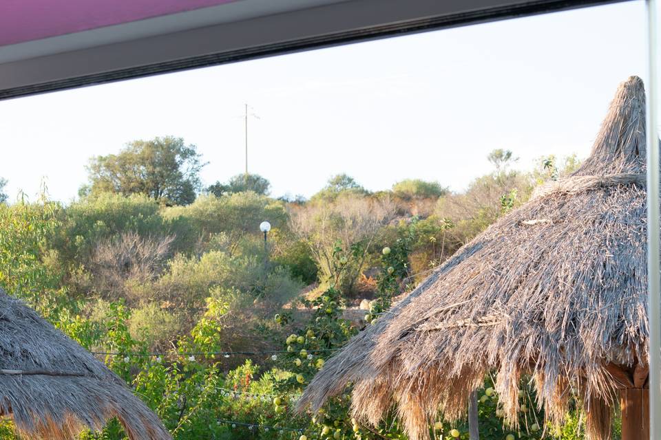 Giardino eventi