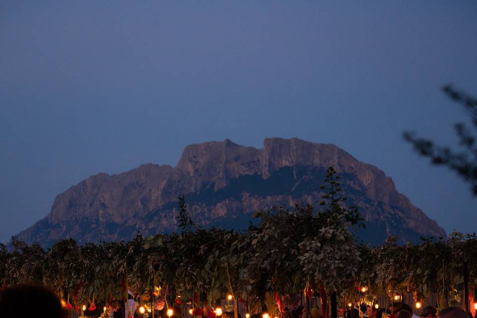 Cena in giardino