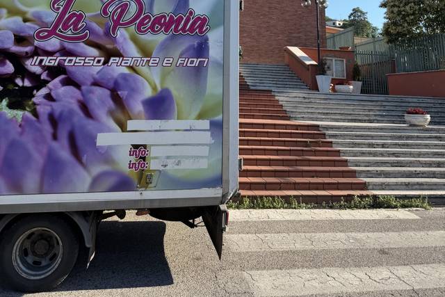La Peonia
