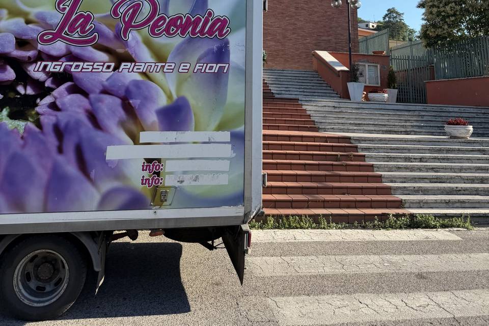 La Peonia