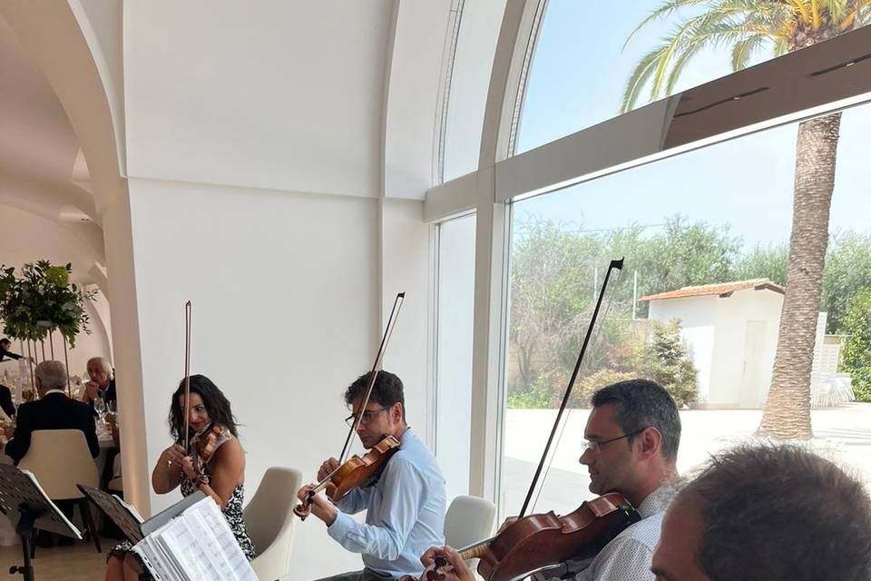 Quartetto d'archi 2