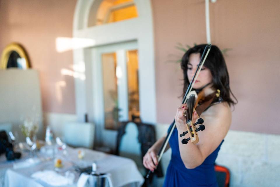 Violino elettrico