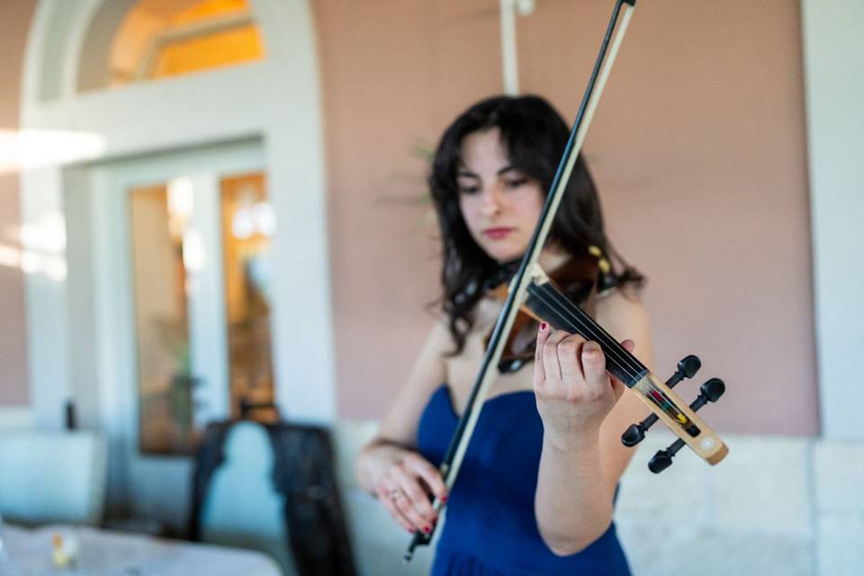 Violino elettrico 2