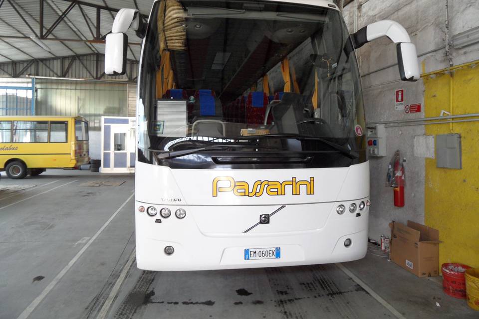 Passarini Bus