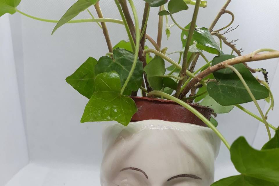 Vaso con volto