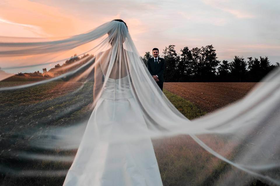 Autumn wedding with horse