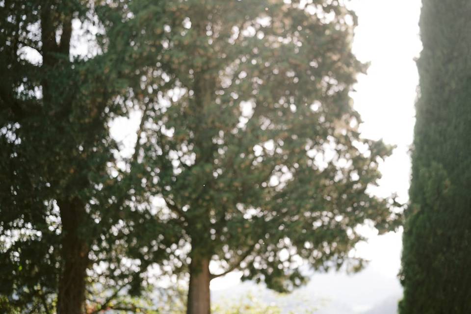 Matrimonio in Toscana