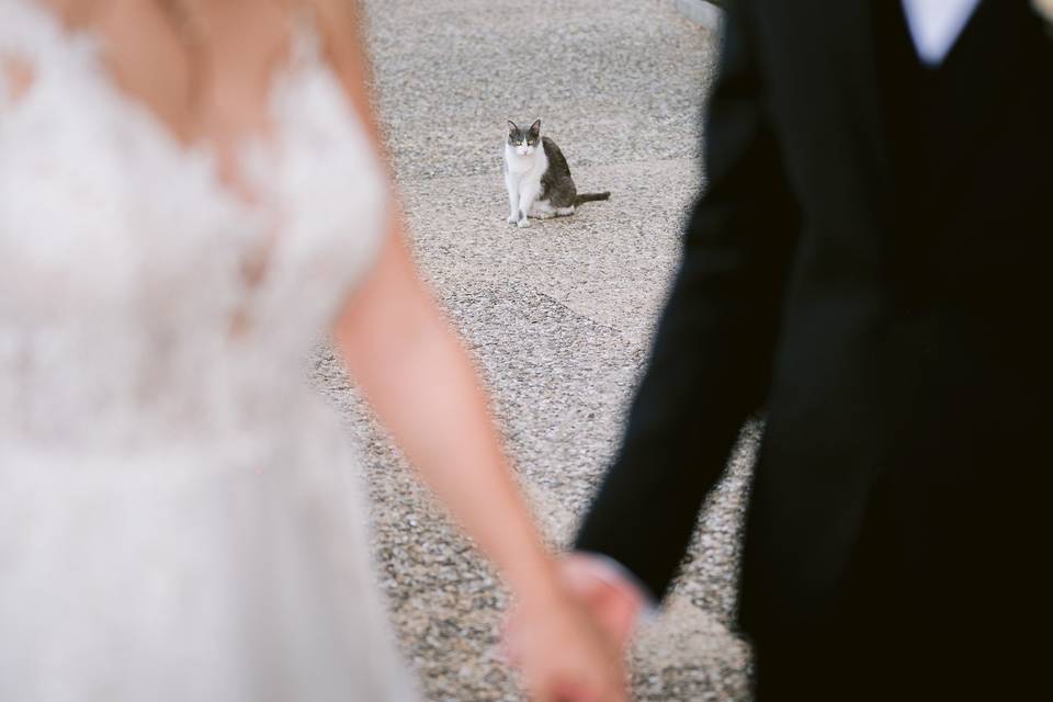 Matrimonio in Toscana