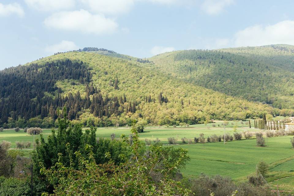 Il panorama